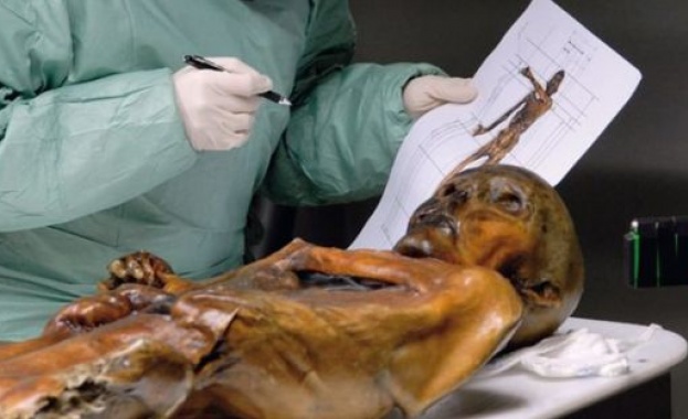 Кой и защо уби Йоци преди 5300 години в Алпите?