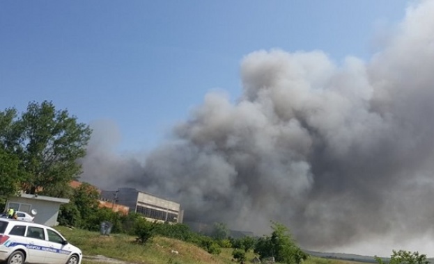 Диоксини и фурани се отделят от Шишманци