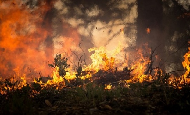 Няма данни за пострадали българи при горските пожари в Португалия
