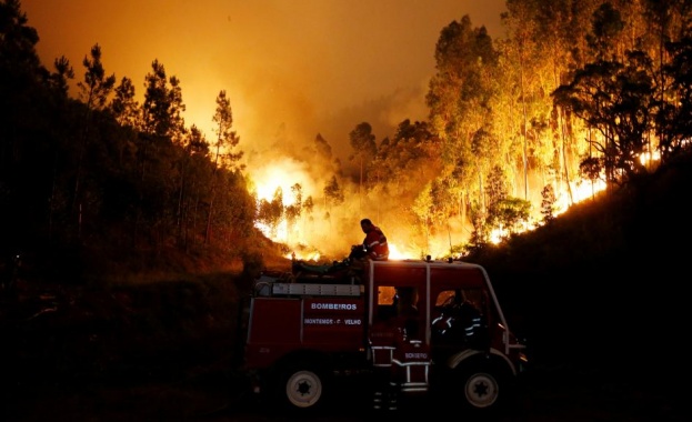 Заподозряха умишлен палеж на пожарите в Португалия