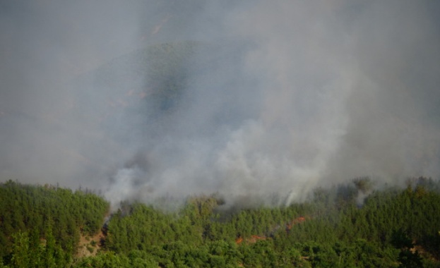 Пожарът край Кресна засегна площ от 850 декара