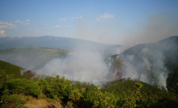 250 души се борят с пожара край Стара Кресна