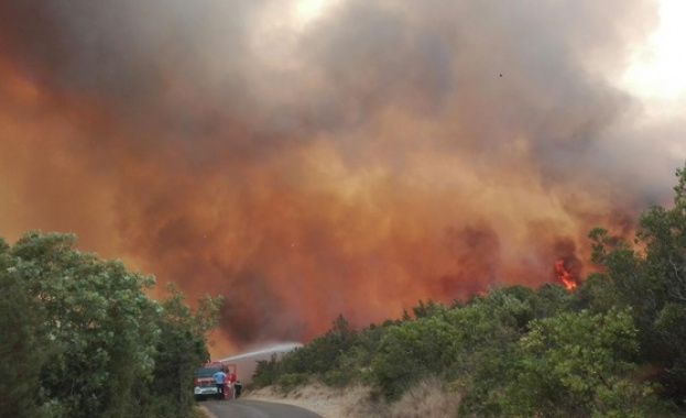 Черна гора поиска международна помощ в борбата с невижданите пожари