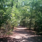 България е на четвърто място по убийства в ЕС 