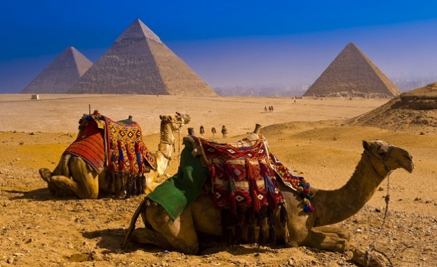 Приходите от туризъм в Египет са достигнали 13 6 милиарда долара