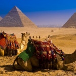 Приходите от туризъм в Египет са достигнали 13,6 милиарда долара за година