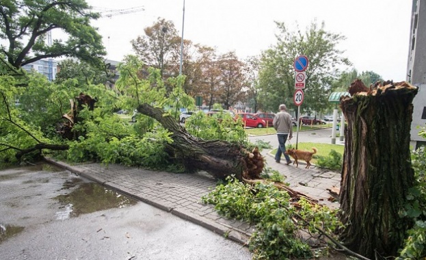 Ураганни ветрове в Полша убиха човек