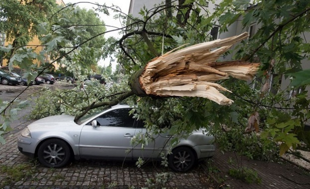 Петима загинаха при ураганни бури в Полша