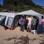 Кметът на Царево скочи срещу къмпингарите: Тези живеят на гърба на държавата