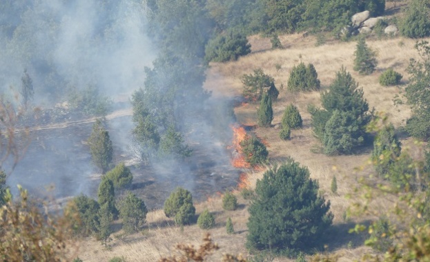 Пожар е избухнал край село Антон, пътят Пирдоп - Клисура е задимен
