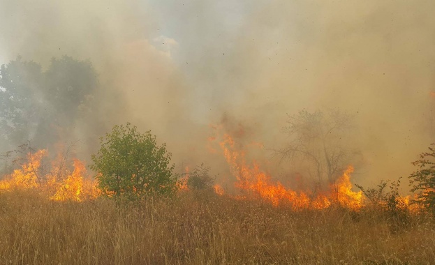 Гасят пожар край Велико Търново