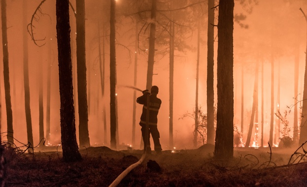 Почиващи български огнеборци помогнали за пожара на Халкидики