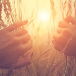 Предстоящи събития в страната