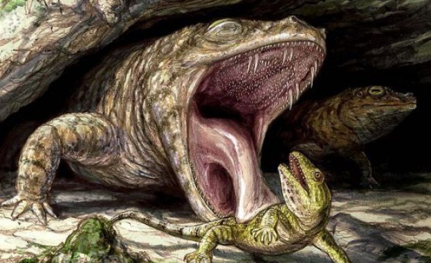 Древните жаби са имали набор от остри зъби и хиляди малки кукички (видео)