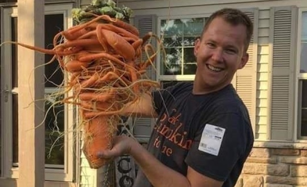 Американец отгледа 10-килограмов морков