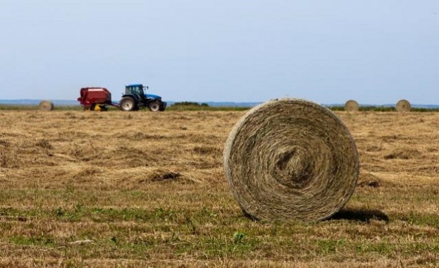МЗХГ обяви конкурс за лого на преброяването на земеделските стопанства през 2020 г.