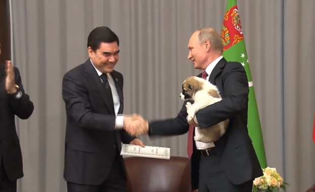 Кучето Верний пристигна като подарък за Путин от президента на Туркменистан (видео)
