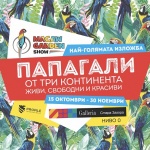Папагали от три континента на изложба в Стара Загора