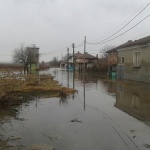 Пак учените им криви