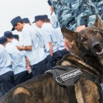 Евакуираха 7 кина в Москва заради нови фалшиви сигнали за бомби