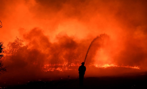 100 000 души евакуирани заради пожарите в Калифорния