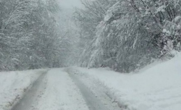 Затвориха за автомобили подстъпите към Витоша