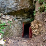 Затварят пещера за туристи заради зимуващи прилепи