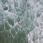 Дрон спаси удавници в Австралия