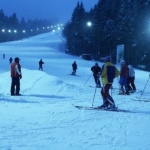 Мечки стреснаха скиори в Румъния