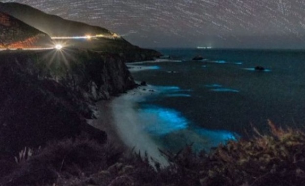 Светещ плактон грейна край бреговете на Калифорния