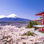 Направи всичко, което можеш...