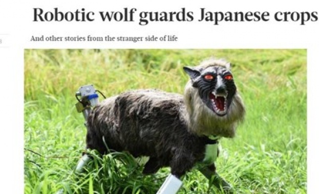 Роботи-вълци излизат в продажба в Япония