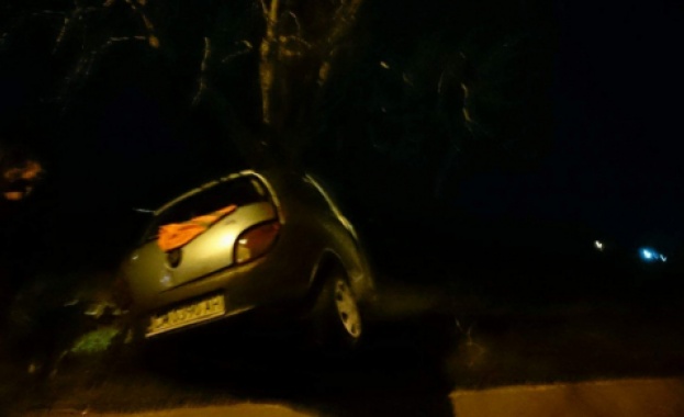 5-ма ранени при удар в дърво, водачът без книжка