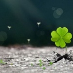 Аз вярвам в късмета: как иначе...