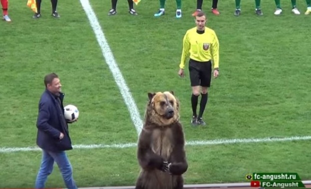 Мач в Русия бе открит от... мечка! (видео)