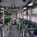 Отгледаха зеленчуци на Антарктида