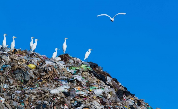 Световния ден на Земята – 22 април отбелязваме под надслов „Свят без замърсяване с пластмаси“