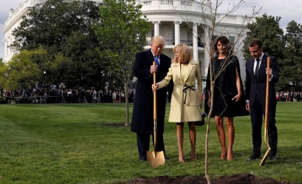 Разкриха драмата с изчезналата фиданка от Белия дом