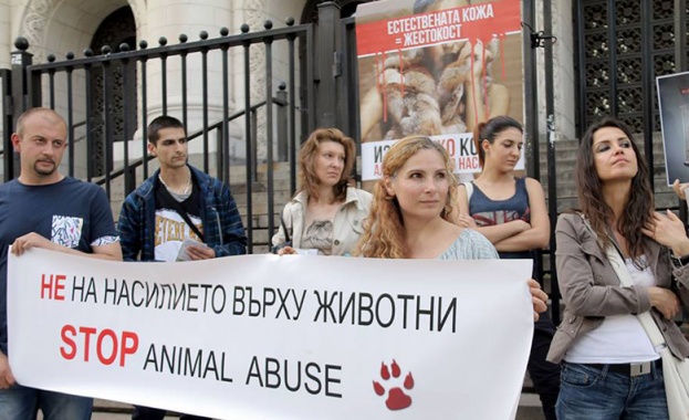 В пет балкански държави започва кампания срещу убиването на животни за ценни кожи