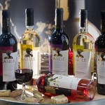 „Вила Ямбол“ с два медала от конкурс в Лондон