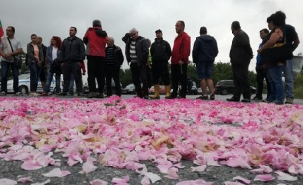 Протести вместо Празник на розата в Стрелча