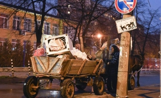 Кола блъсна кон в София, отскубнал се от каруца