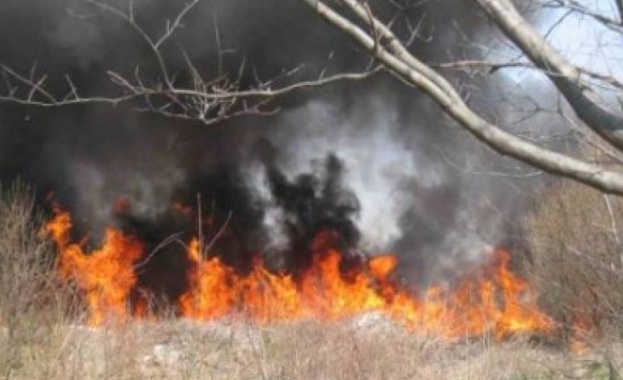 Затвориха AM „Тракия” в двете посоки край Камено заради пожар