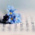 Родени на 10 август