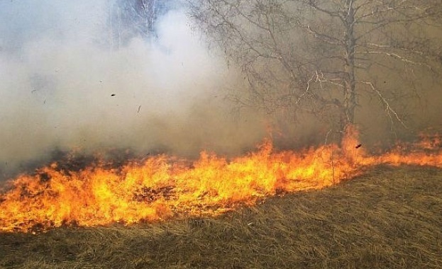 Пожар е изпепели около 20 декара пшеница и 2 декара орехова градина в с. Црънча