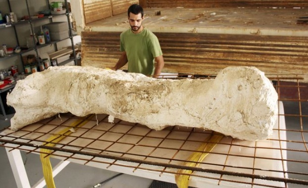 В Китай намериха останки от динозаври на 120 млн. години