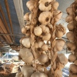 Гърци изплетоха най-дългата плитка чесън в света