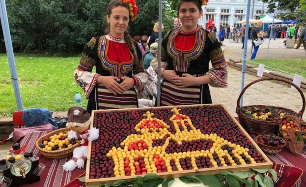 Празник на черешата се провежда в Кюстендил за 11-та поредна година