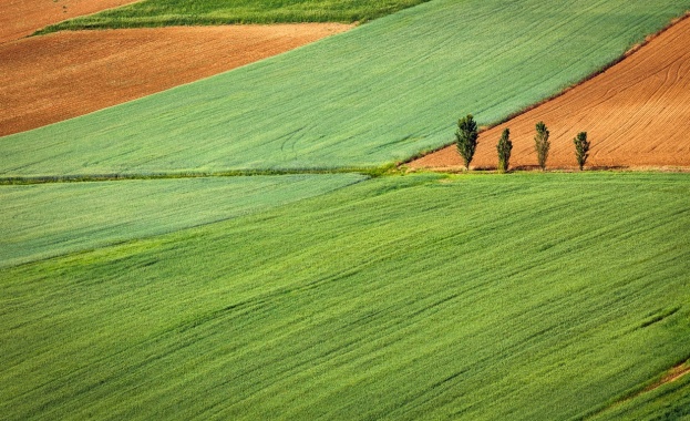 Силен интерес към безплатните оценки от "Агрион"