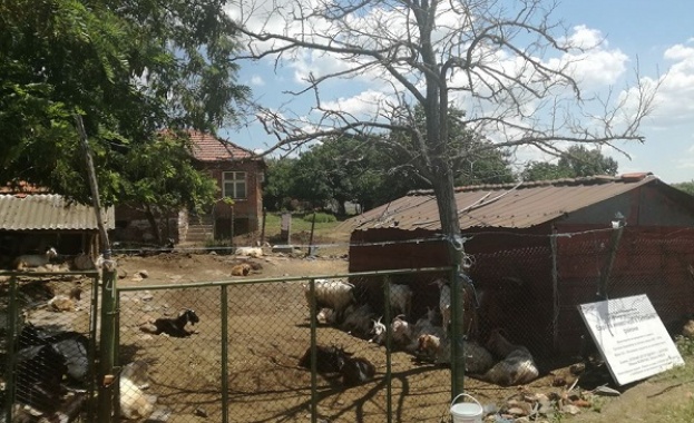 Кметът на село Шарково: Хората в селото са отчаяни